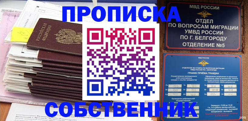 прописка законно в Козьмодемьянске